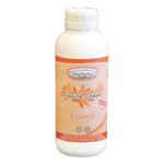 ESENTA PARFUM VANILLA LEMON 1LT COD A48-024D